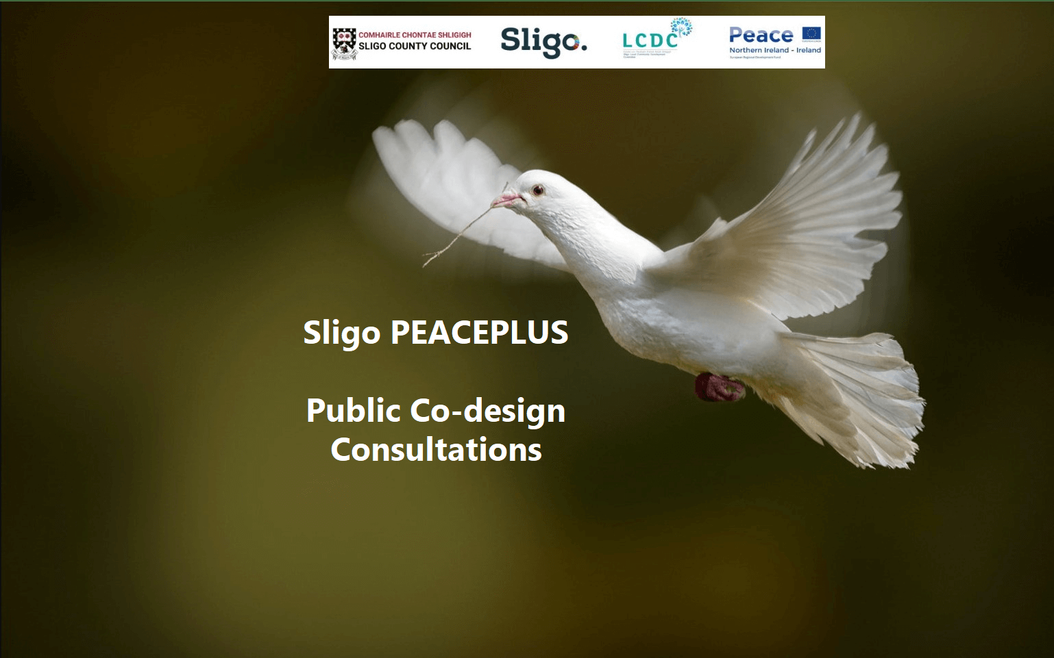 Sligo PEACEPLUS – Have Your Say - Public Co-design Meetings Announced